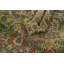 Tapis traditionnel vert clair en laine 10 x 12