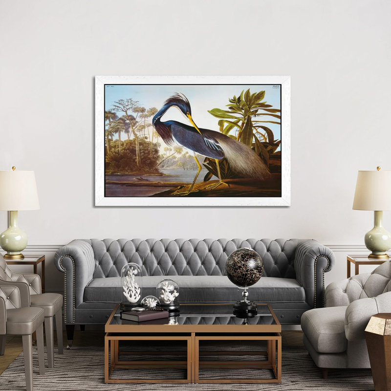 Louisiana Heron From "Birds Of America" by John Audubon - Painting on Canvas, 101.6 cm H x 66.04 cm W, White Framed