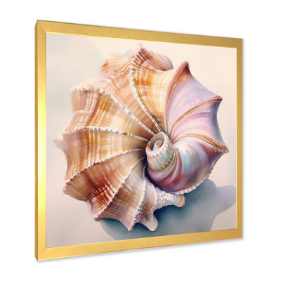 Coastal Seashell II
