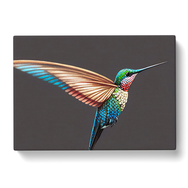 Seductive Hummingbird - Wrapped Canvas Print, 35cm H x 50cm W x 3cm D