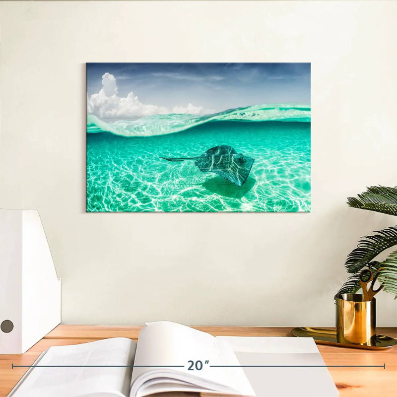 Brampt Manta Ray Underwater, 8" H x 12" W