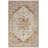 Oriental Indoor Rug-1183045525