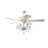 Ridgway 19'' Ceiling Fan with Light Kit