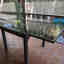 Customer photo 4 of 6