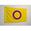 Drapeau de la fierté intersexuée — Drapeau