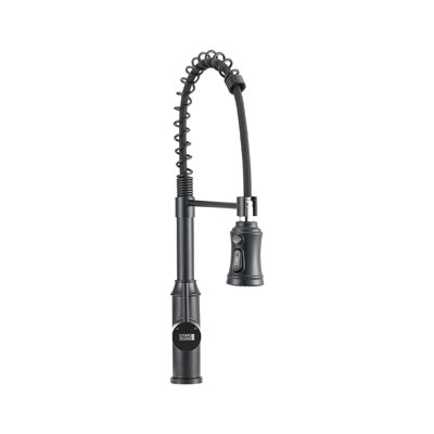 Belfry Kitchen Pull Out Kitchen Faucet