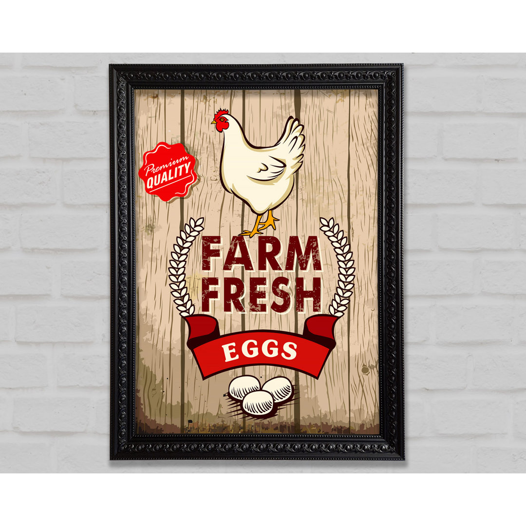 Farm Fresh Eggs - Drucken