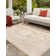 Danera Oriental Indoor / Outdoor Rug