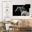 Cheval arabe Brampt-106051564