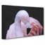 Pink Flamingo Vol.1 - Wrapped Canvas Print-61838517