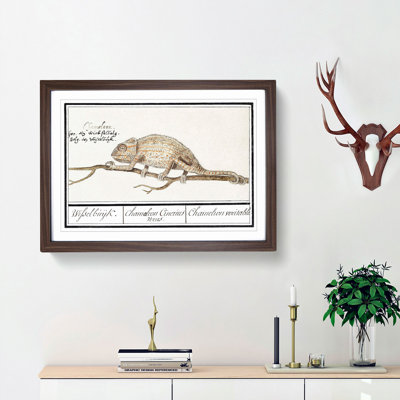 Chameleon by A.B. De Boodt - Picture Frame Painting Print