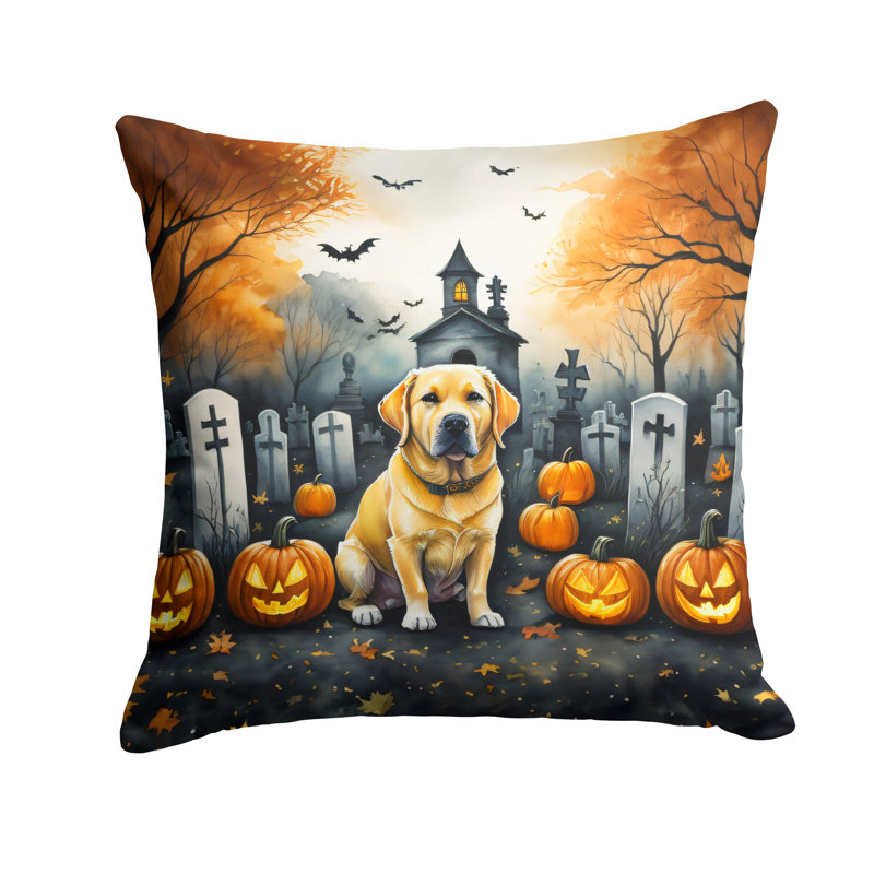 Other/No Pattern Outdoor Throw Pillow, 18" x 18"