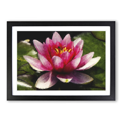 Pink Water Lily Flower Vol.3 - Picture Frame Graphic Art