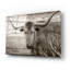 Epic Art «Woodgrain Antiques 02» par Gordon Semmens «Woodgrain Antiques 02» par Gordon Semmens-101651530