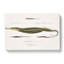 Pipefish Illustrations by John Edward Gray - Wrapped Canvas-55325606
