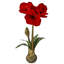 Tige d'amarylis 21 "avec ampoule