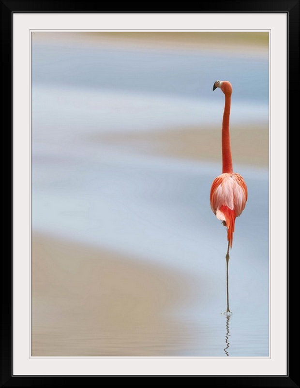 «Straub» par Anna Cseresnjes, impression d'art graphique, H 48 po x l 36 po x P 1,5 po, Toile