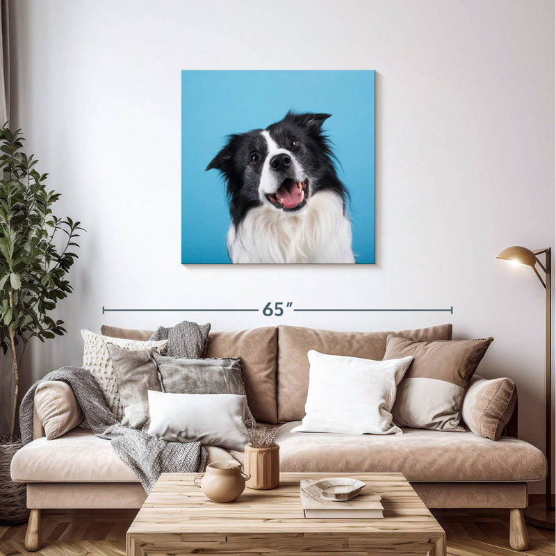 Crowle Happy Border Collie, H 36 po x l 36 po