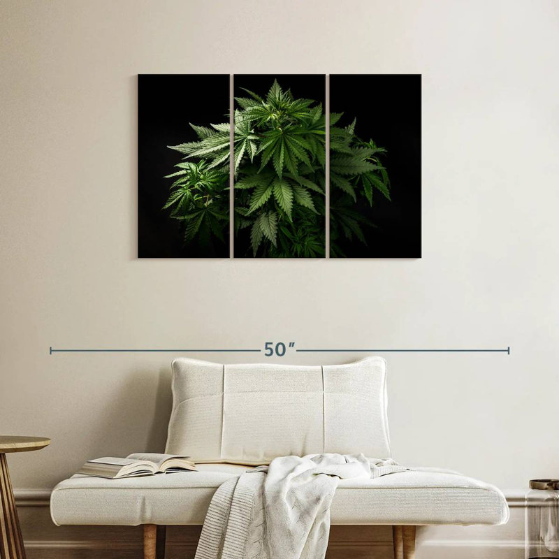 Cannabis Plant, 24" H x 38" W