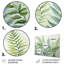 Ferns Enchanting Ferns III Plants & Flowers Wall Decor on Metal