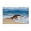 «From the Sea» par Peter Stahl - reproduction de photo sur toile tendue-1377035949