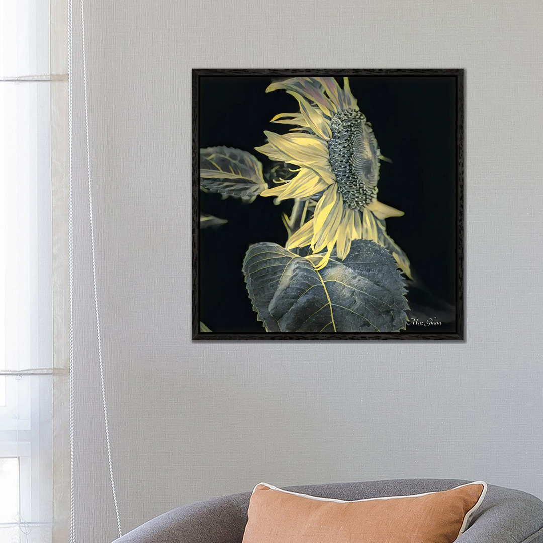 Jaune Et Noir von Maz Ghani - Galerie-verpackte Leinwand Giclée auf Leinwand