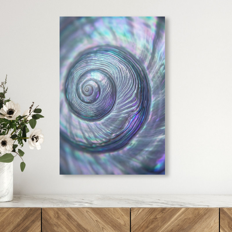 Sea Spiral Print by Oliver Gal, 15"H x 10"W, Gallery Wrapped