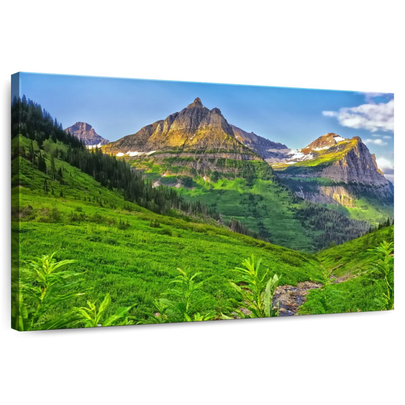 Verdure du parc glaciaire Alvord, H 20 po x l 30 po