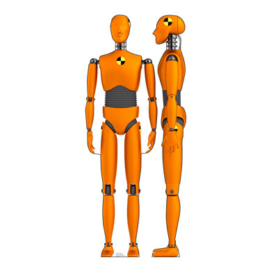 75'' Novelty & Humor Cardboard Standup