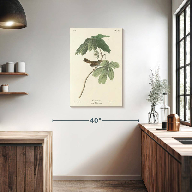 Brampt Swamp Sparrow, 36" H x 24" W