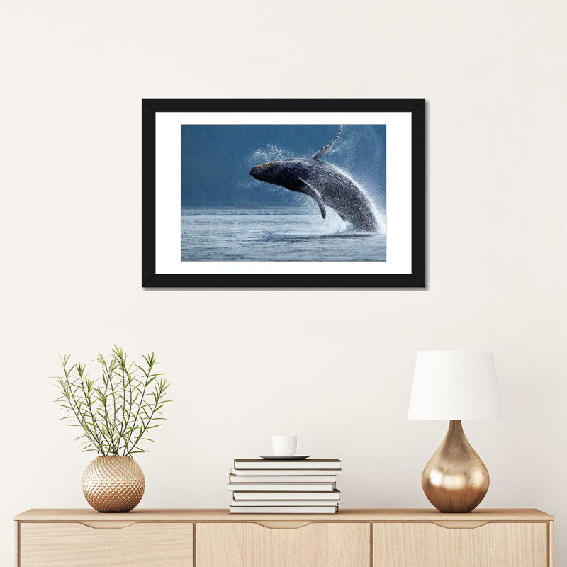«Breaching Humpback Whale, Chatham Strait, Alaska, USA», impression sur toile, H 16 po x l 24 po x P 1 po, Blanc