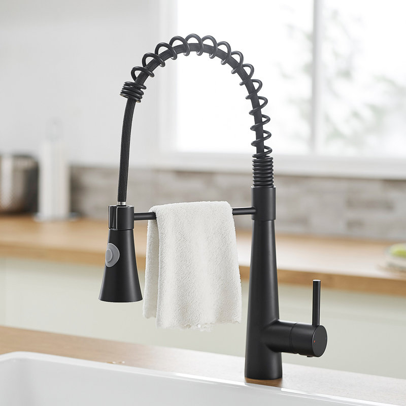 Robinet de cuisine commercial avec douchette extractible, robinet d'évier de cuisine à poignée simple, Noir