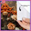 Rideaux de douche Ornate Skull Roses-129077799