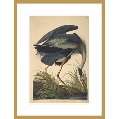 «Great Blue Heron from The Birds of America» par John James Audubon, impression giclée encadrée