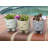 Pot Planter-1849366856-1849366857