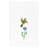 3 Piece 100% Turkish Cotton Hada Embellished Towel Set-342808551