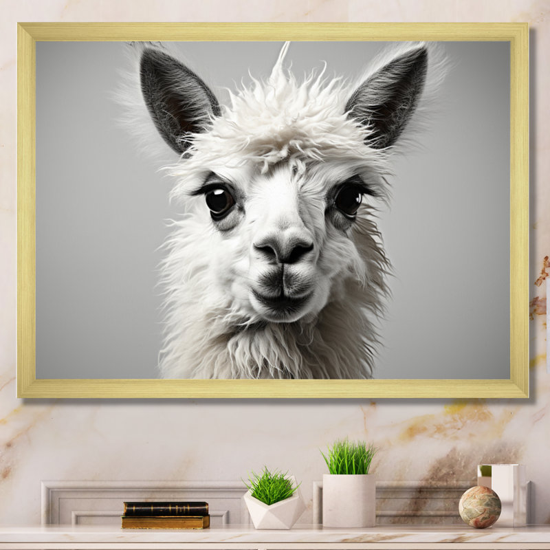" Grey Llama Gentle Llama ", H 24 po x l 32 po x P 1 po, Cadre doré à une seule photo
