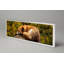 Gibbs Print-1401525616-1401525634