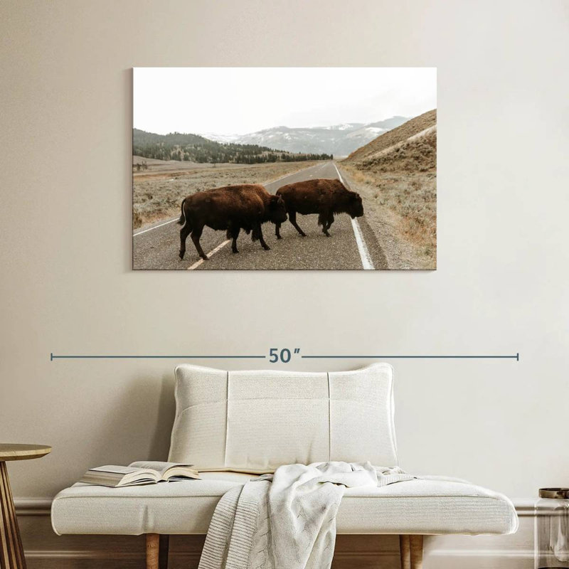 Brampt Bison In Lamar Valley, 26" H x 39" W