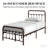 Hidalgo Metal Platform Bed-118303752-118303749
