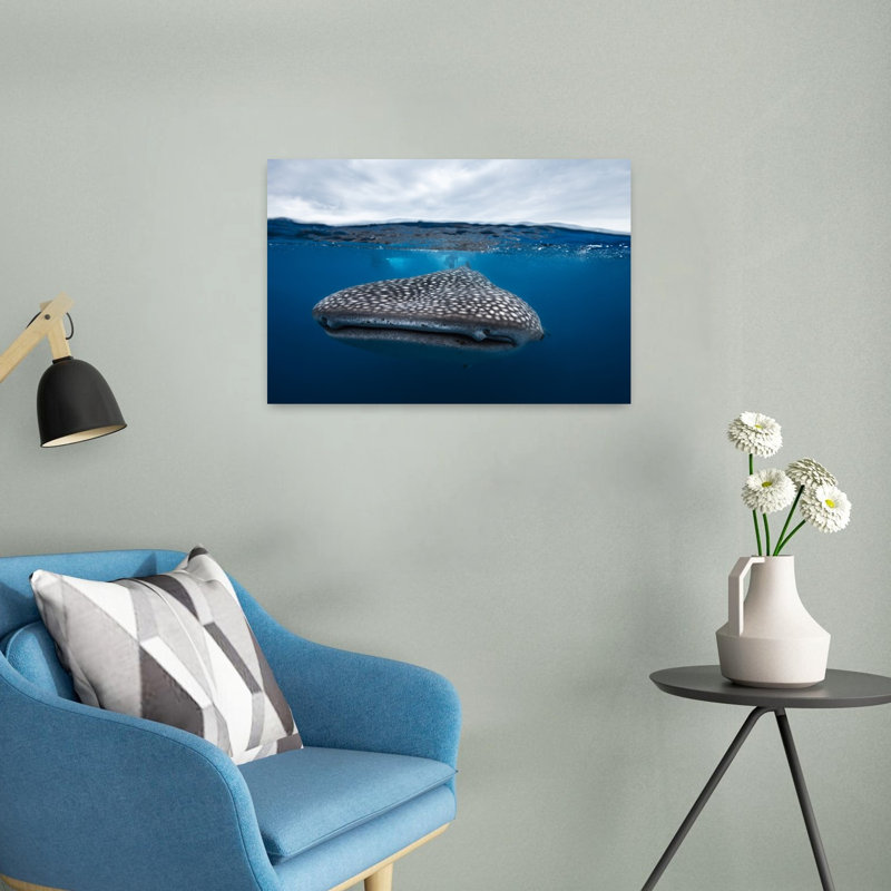 Whale Shark Beneath Surface Abstract Contemporary Fish Shark Whale Nature Ocean Wall Art Print 1 Piece Wrapped Canvas Wall Art