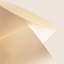 Blip Pendant Light-575586763