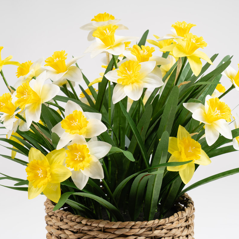 58cm Faux Daffodils in Seagrass Basket