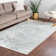 Kaleigh Oriental Indoor Rug
