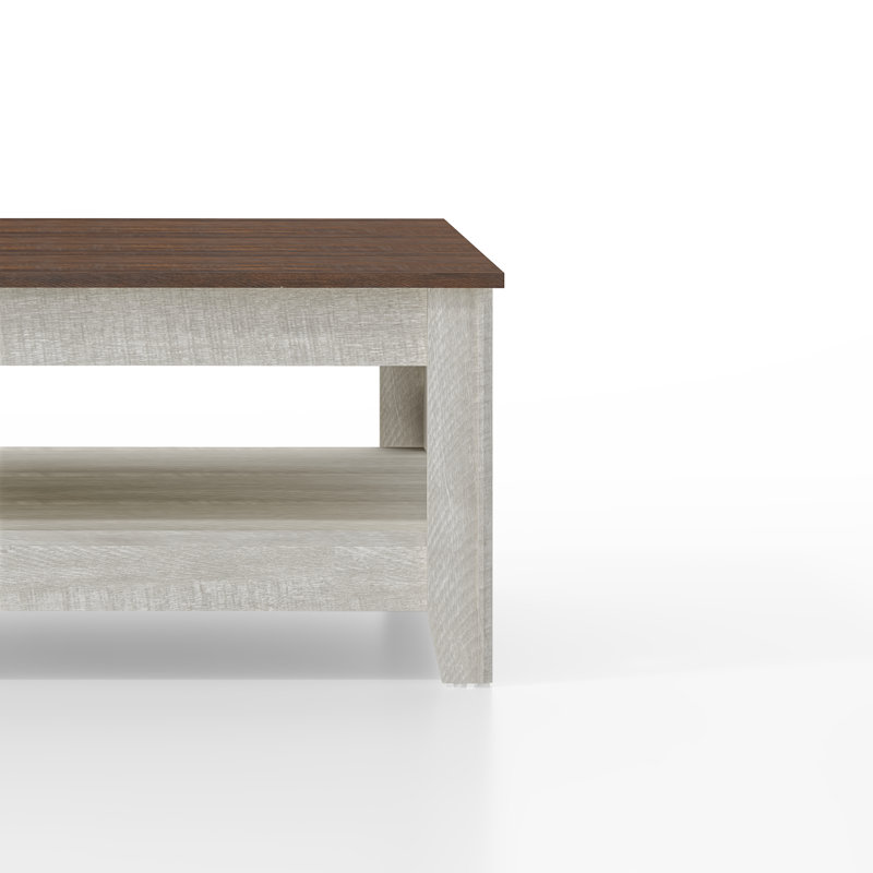 Weddel Basilico Coffee Table with Storage, Chêne gris cendré / noyer cendré
