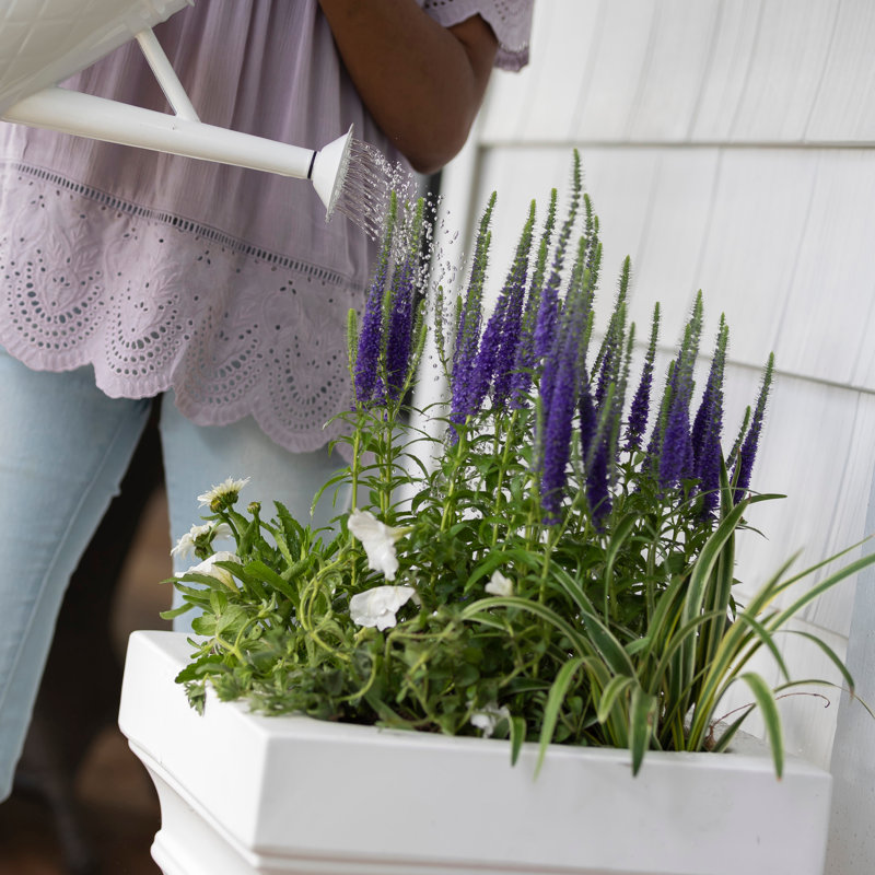 Classic White High-Density Plastic Self-Watering Planter Box