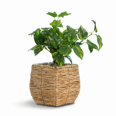 Mckenna Pot Planter