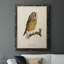 Maddock French Owls II-88378312-88378310