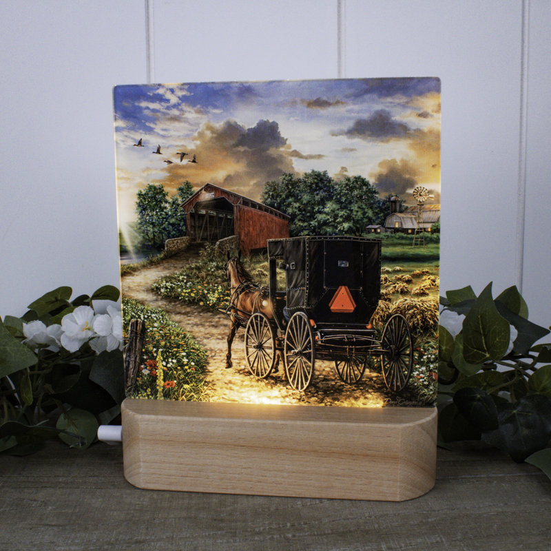 Soirée à la ferme veilleuse à DEL
