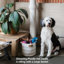 Panier en tissu pour chien